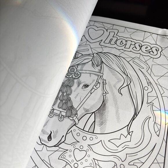Deena Stone HORSES Coloring Book For Adults NEW - Picture 4 of 6